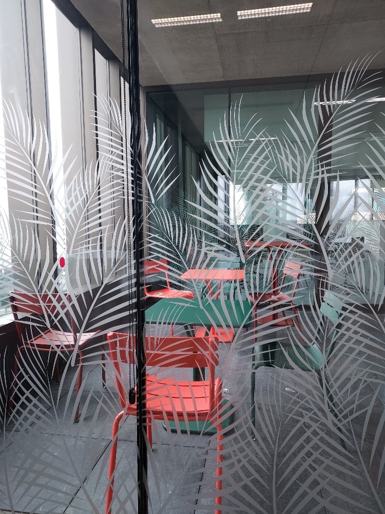 Vitrophanie dépolie à motif de palmes sur une cloison vitrée de bureau